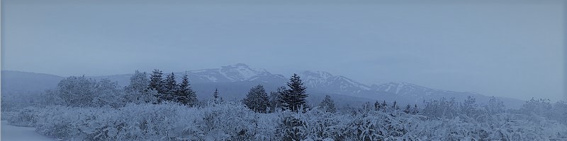 �V�����X�L���P�A�O�b�Y�I �~���u���I�����C�����T�C�g